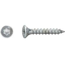 Vis à bois à tête fraisée et empreinte Torx en métal.