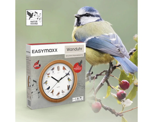 EASYmaxx Wanduhr mit Vogelmotiven und authentischem Singvogelgesang zu jeder vollen Stunde, Durchmesser 25 Zentimeter, Rahmen in Holzoptik.