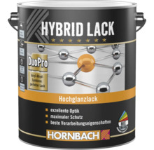 Vernis hybride Hornbach DuoPro brillant, symbiose acrylique-alkyde, à base d eau, pour intérieur et extérieur.