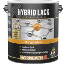 Peinture hybride Hornbach laque brillante en pot, symbiose acrylique-alkyde DuoPro, pour mélange, Hornbach Logo.