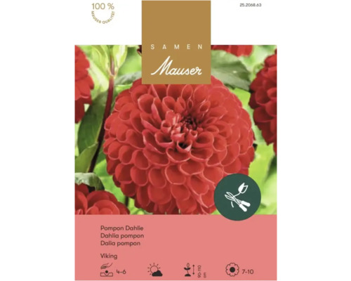 Samen Mauser Logo auf Samentüte für Pompon-Dahlie Viking mit roter Blüte und Symbolen für Pflanztiefe und Wuchshöhe.