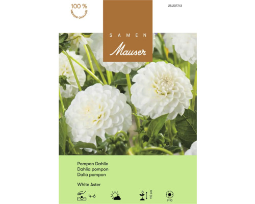 Samen Mauser Pompon-Dahlie White Aster mit weißen Blüten. Symbole für Pflanzung April bis Juni, sonnig bis halbschattig, 110 Zentimeter Wuchshöhe, Blüte Juli bis Oktober.