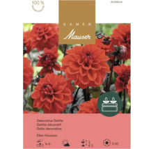 Samen Mauser Logo, Samentüte Dekorative Dahlie Ellen Houston, orange Blüten. Siegel für 100 Prozent Qualität und Symbole für die Pflanzung.