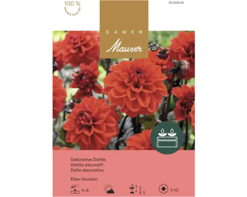 Samen Mauser Logo, Samentüte Dekorative Dahlie Ellen Houston, orange Blüten. Siegel für 100 Prozent Qualität und Symbole für die Pflanzung.