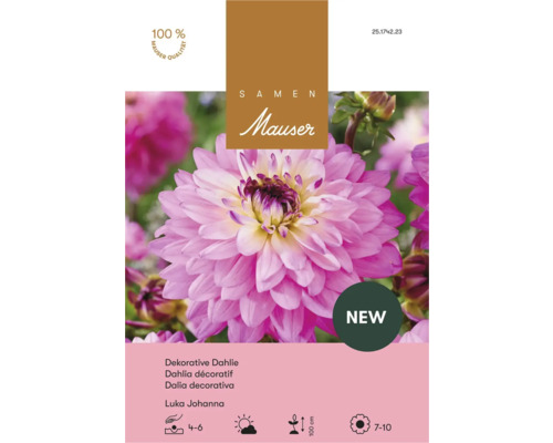 Samen Mauser Dahlia décoratif Luka Johanna, paquet de bulbes de fleurs, hauteur 100 centimètres, floraison de juillet à octobre.