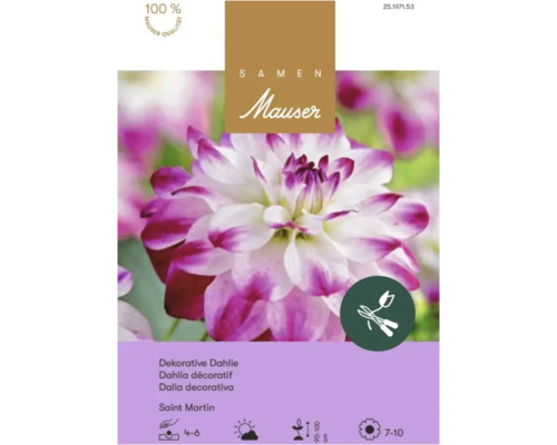 Samen Mauser Logo, Saatgut für Dekorative Dahlie Saint Martin mit weiß-lila Blüten, Mauser Qualitätsgarantie, als Schnittblume geeignet.