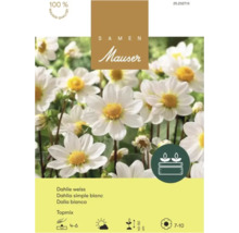 Samen Mauser Logo auf Packung für weiße Topmix-Dahlien, 100 Prozent Mauser Qualität, Wuchshöhe 40 bis 50 Zentimeter.
