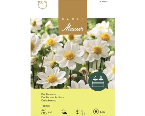Samen Mauser Logo auf Packung für weiße Topmix-Dahlien, 100 Prozent Mauser Qualität, Wuchshöhe 40 bis 50 Zentimeter.