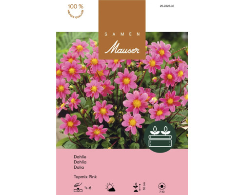 Samen Mauser Logo. Dahliensamen Topmix Pink mit rosafarbenen Blüten, Wuchshöhe circa 50 Zentimeter, 100 Prozent Mauser Qualität.