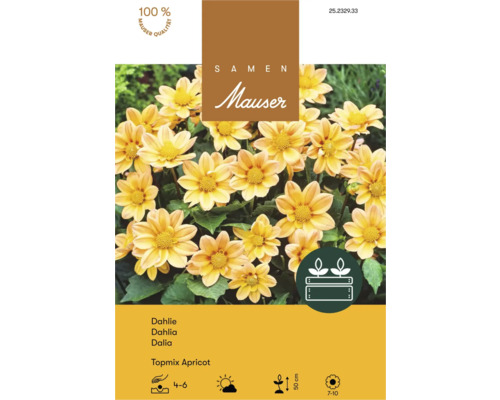 Samentüte für Dahlie Topmix Apricot von Samen Mauser mit gelben Blüten.