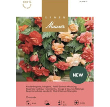 Samen Mauser Bégonias tubéreux retombants Cascade, mélange Rouge et Saumon avec détails sur la profondeur, hauteur, fleur et sceau de qualité.