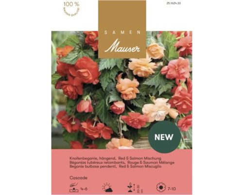 Samen Mauser Bégonias tubéreux retombants Cascade, mélange Rouge et Saumon avec détails sur la profondeur, hauteur, fleur et sceau de qualité.