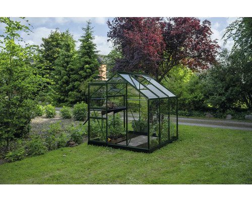 Klassisches Gewächshaus mit dunkelgrünem Aluminiumrahmen und transparenten Glasscheiben in einem begrünten Garten mit Bäumen.