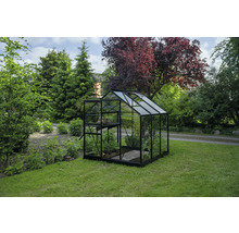 Serre moderne avec cadre en aluminium noir et parois en verre dans un jardin lumineux et organisé avec plantes et étagères à l'intérieur.