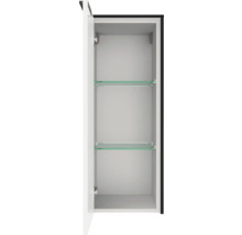 Armoire murale de salle de bains avec deux étagères en verre, blanc, porte ouverte.