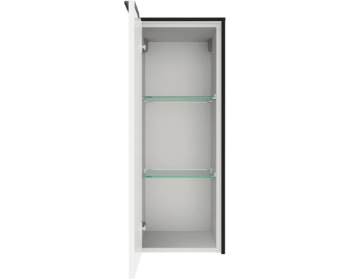 Armoire murale de salle de bains avec deux étagères en verre, blanc, porte ouverte.