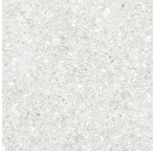 Carreau de sol en aspect terrazzo clair avec grain fin et fragments de pierre.