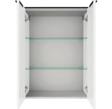 Armoire de toilette ouverte avec deux tablettes en verre et charnières métalliques.