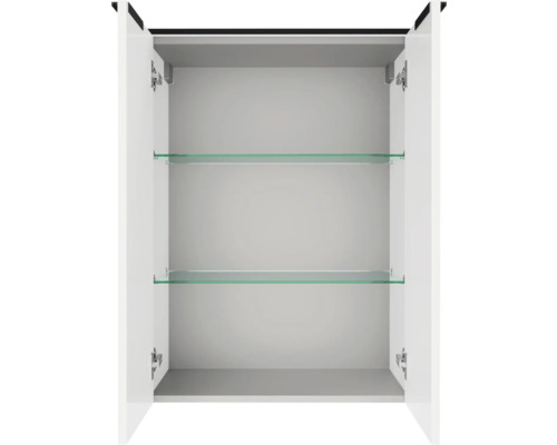Armoire de toilette ouverte avec deux tablettes en verre et charnières métalliques.