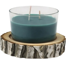 Petrolfarbene Duftkerze im Glas mit zwei Dochten auf einer dekorativen Holzscheibe mit Rinde.