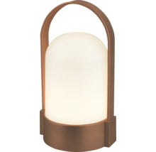 Lampe de table à LED portative avec poignée marron et abat-jour en plastique blanc pour l'extérieur.