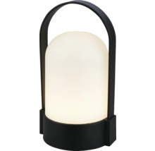 Lampe de table portable moderne avec socle et poignée noirs et dôme lumineux blanc translucide.