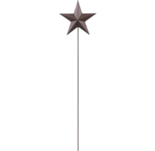 Gartenstecker aus Metall mit einem fünfzackigen Stern in brauner Rostoptik.