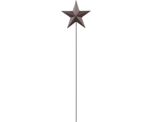 Gartenstecker aus Metall mit einem fünfzackigen Stern in brauner Rostoptik.