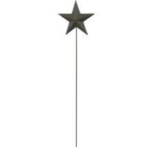 Gartenstecker aus Metall in Sternform in Anthrazit auf einem langen Stab.
