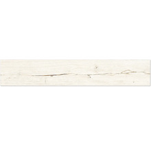 Texture de bois blanc avec veinure marquée et une fissure horizontale continue.