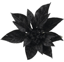 Künstlicher Weihnachtsstern in Schwarz mit Glitzer für die Weihnachtsdekoration.