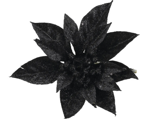Künstlicher Weihnachtsstern in Schwarz mit Glitzer für die Weihnachtsdekoration.