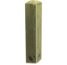 Vierkantpfosten aus kesseldruckimprägniertem Holz mit abgerundetem Kopf für den Zaunbau.