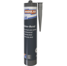 Modulan 620 Acrylique pour peintre gris 300 millilitres cartouche avec buse, à très faibles émissions.