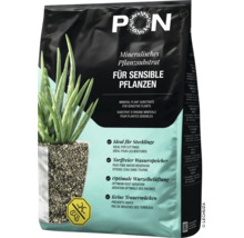 Lechuza-Pon mineralisches Pflanzsubstrat für sensible Pflanzen, torffrei, zur Wurzelbelüftung und Vorbeugung von Trauermücken.