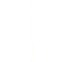 Vertikale LED-Lichterkette mit kleinen warmweißen Lampen.