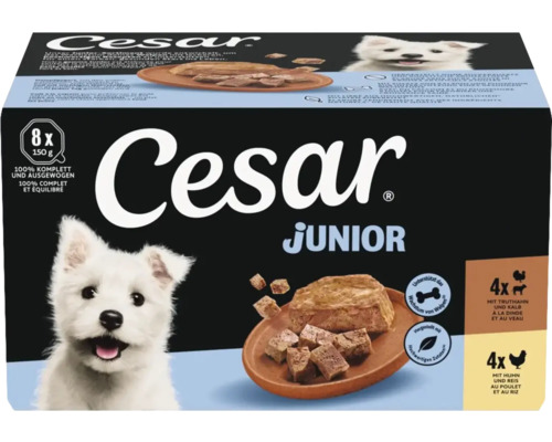 Hundefutter Cesar Junior Multipack 8 mal 150 Gramm mit Truthahn und Kalb sowie Huhn und Reis für Welpen.