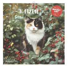 Katzenkalender 2027 mit einer dreifarbigen Katze in einem Gebüsch, Alpha Edition Logo, Siegel für eine zusätzliche Bucket List.
