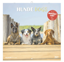 Alpha Edition Wandkalender Hunde 2027 mit vier verschiedenen Hunden auf einem Holzsteg.