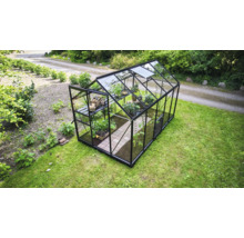 Serre de jardin moderne avec cadre en aluminium noir et parois en verre, équipée d étagères et de plantes.