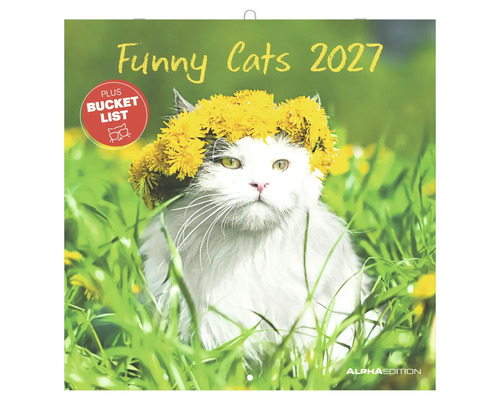Wandkalender Funny Cats 2027 mit einer Katze mit Löwenzahnkrone auf einer Wiese. Inklusive Bucket List. Alpha Edition Logo.