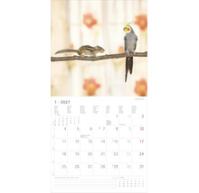 Kalenderblatt für Januar 2027 mit einem Streifenhörnchen und einem Nymphensittich auf einem Ast.
