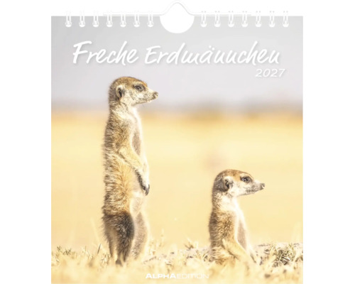 Wandkalender 2027 Freche Erdmännchen mit zwei Erdmännchen in einer hellen Landschaft, Alpha Edition Logo.