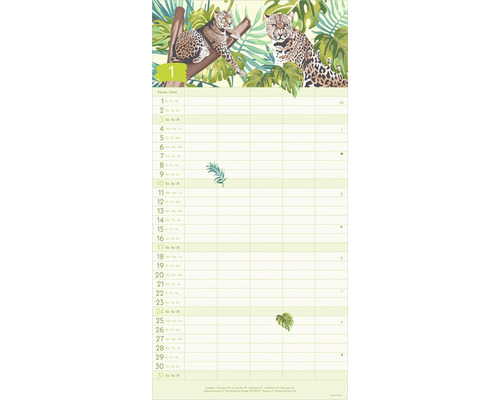 Wandkalender mit zwei Leoparden im Dschungel und Monatsübersicht für Januar mit Spalten für Notizen.