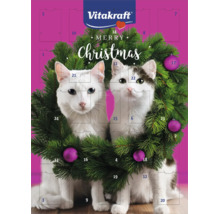 Vitakraft Adventskalender für Katzen mit zwei Katzen im Weihnachtskranz und vierundzwanzig Türchen.