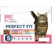 Perfect Fit Katzenfutter Adult 1 plus, 12er-Pack Multipackung in Sauce mit verschiedenen Sorten wie Lachs, Rind, Huhn und Meeresfisch.