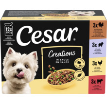 Cesar Creations Hundefutter Multipack mit 12 Beuteln zu je 100 Gramm, verschiedene Sorten in Sauce.