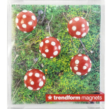 Fünf kugelförmige Magnete im Fliegenpilz-Design auf grünem Moos, Trendform magnets Logo.