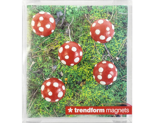 Fünf kugelförmige Magnete im Fliegenpilz-Design auf grünem Moos, Trendform magnets Logo.
