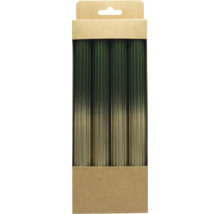 Vier geriffelte Stabkerzen mit Farbverlauf von Dunkelgrün zu Metallic-Gold in einer Kartonverpackung.